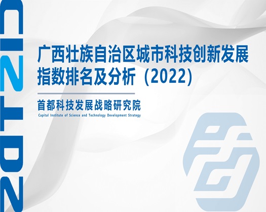 成人电影操操操【成果发布】广西壮族自治区城市科技创新发展指数排名及分析（2022）